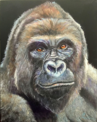 Gorilla Harambe oil portrait by Brenda Gordon